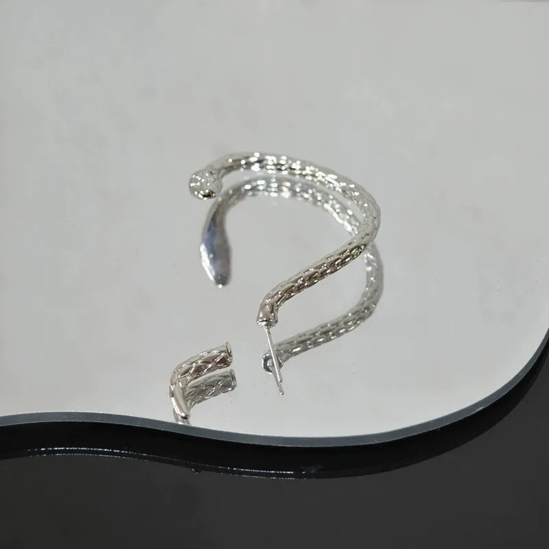 1Pc Small Snake Winding Stud Earrings for Women, Female Vintage Creative Tide Male Couples Niche Design Sense